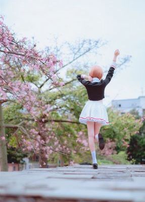 杜心五传奇