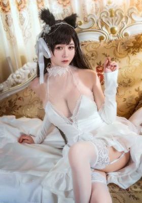 中国刑警电视剧在线观看